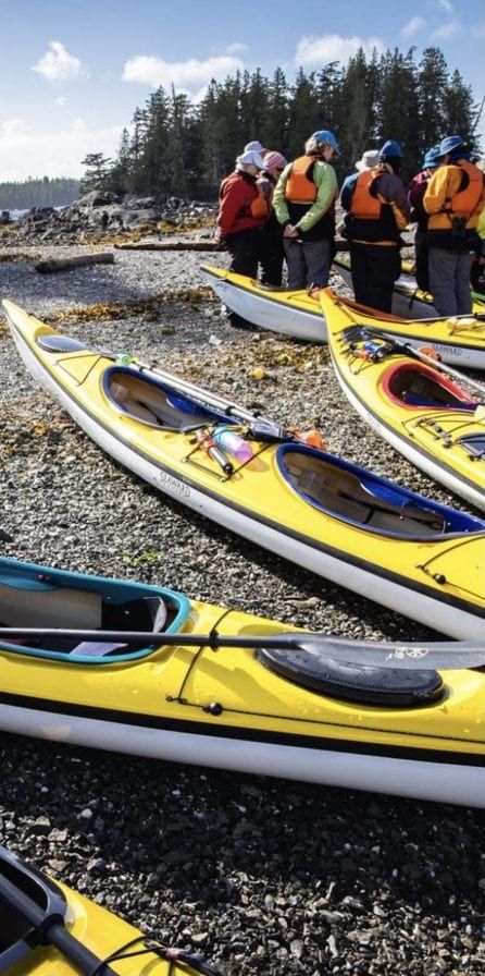 What a guided kayak day on the BC coast actually looks like