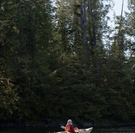 What a guided kayak day on the BC coast actually looks like