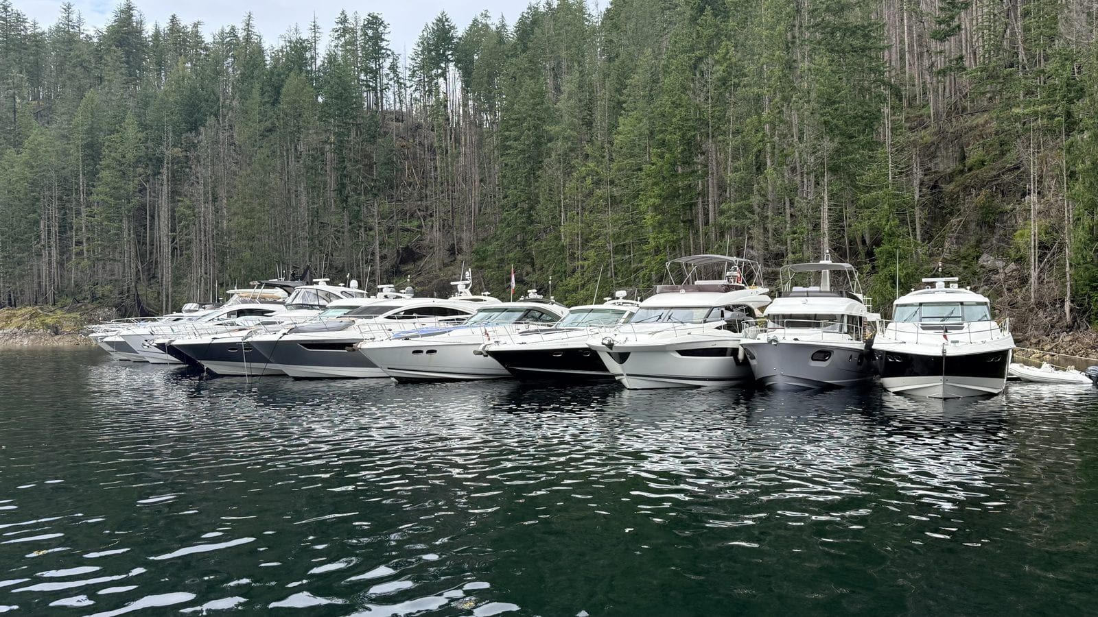 A dozen yachts rafted side by side along a forested shore