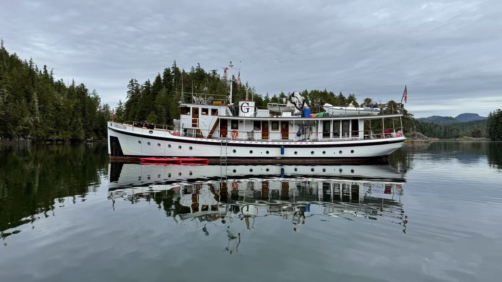 Gyrfalcon at anchor