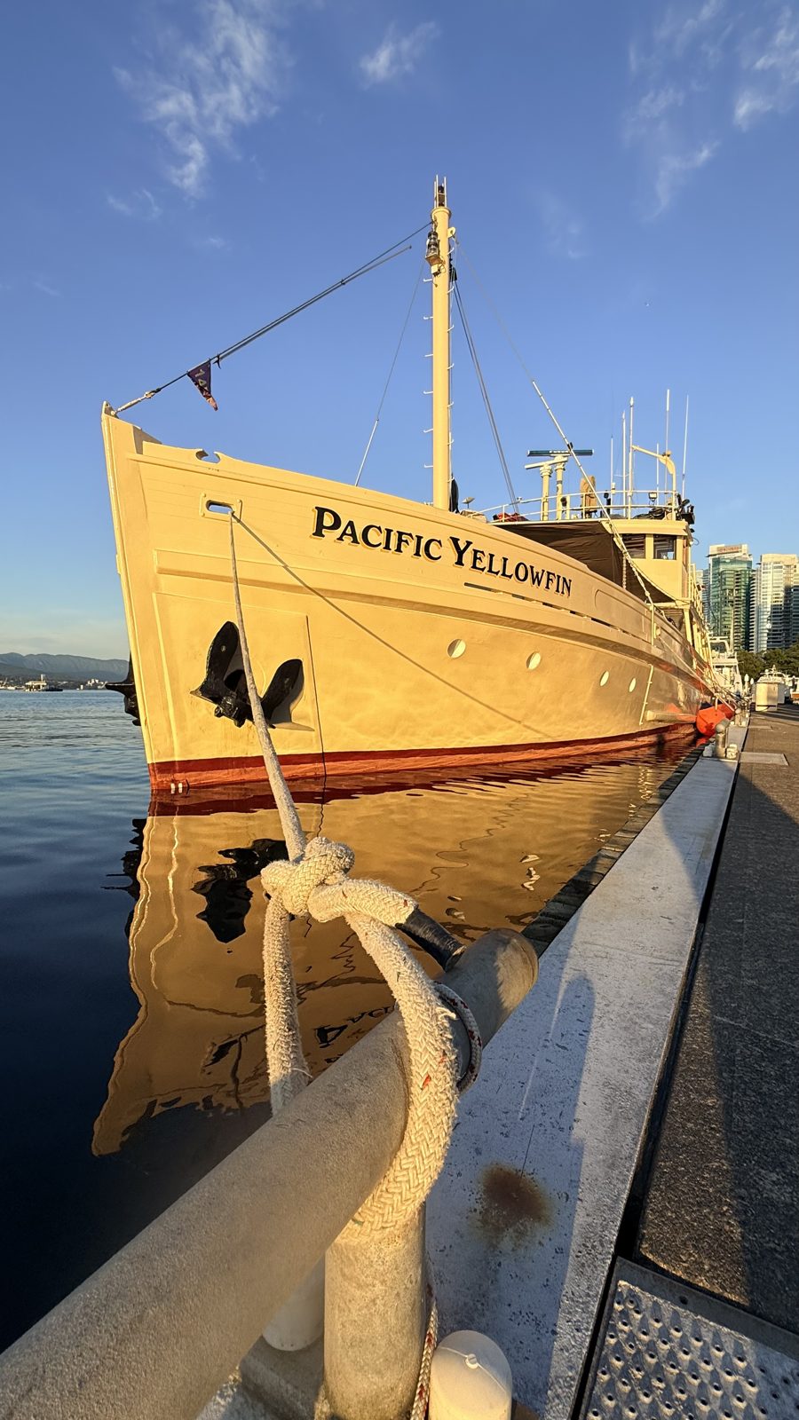 Pacific Yellowfin at sunrise, Coal Harbour